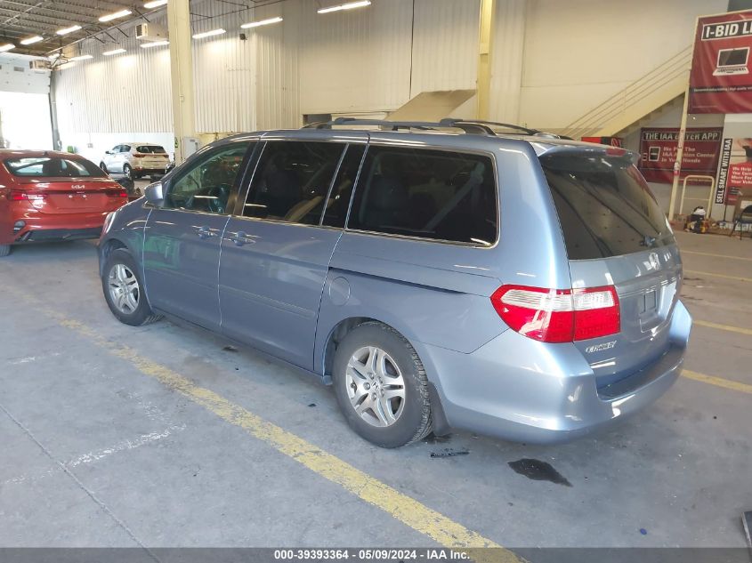 2007 Honda Odyssey Ex-L VIN: 5FNRL387X7B011343 Lot: 39393364