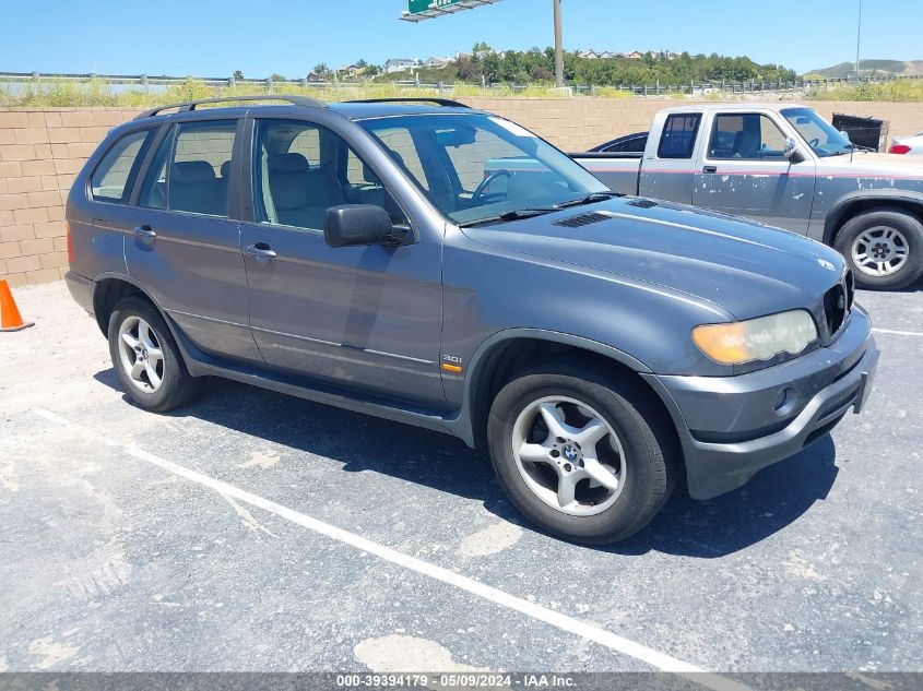 2003 BMW X5 3.0I VIN: 5UXFA53503LV95686 Lot: 39394179