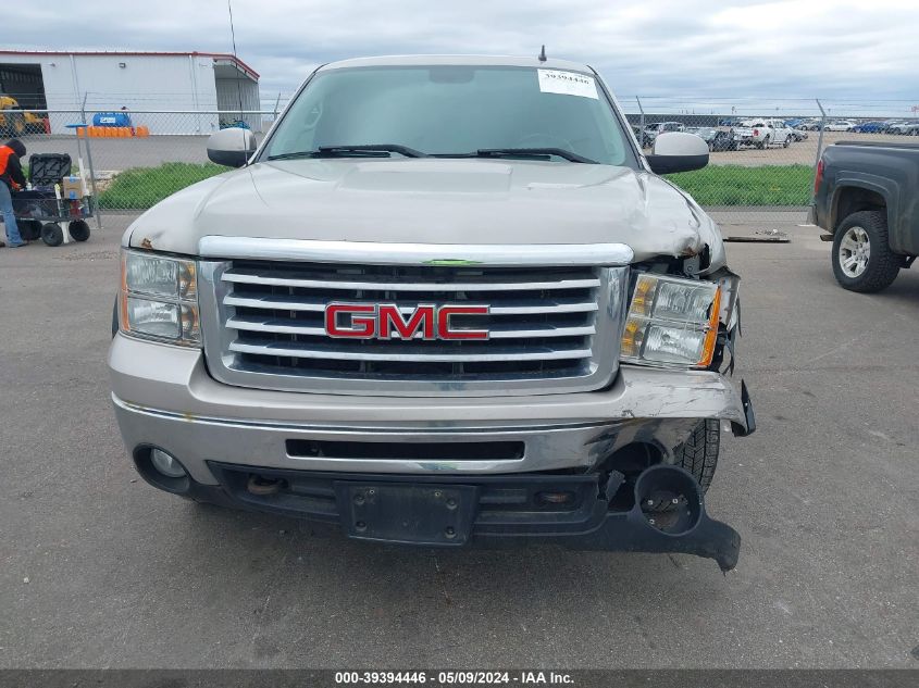 2009 GMC Sierra 1500 Sle VIN: 1GTEK29019Z127895 Lot: 39394446