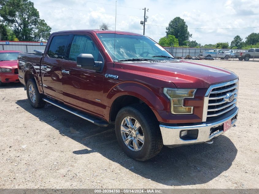 2016 FORD F-150 XLT - 1FTEW1EG7GKD61868