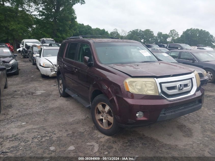 2009 Honda Pilot Ex-L VIN: 5FNYF38539B001967 Lot: 39394909