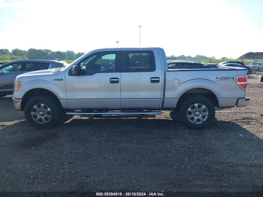 2013 Ford F-150 Xlt VIN: 1FTFW1EF5DKD07167 Lot: 39394918