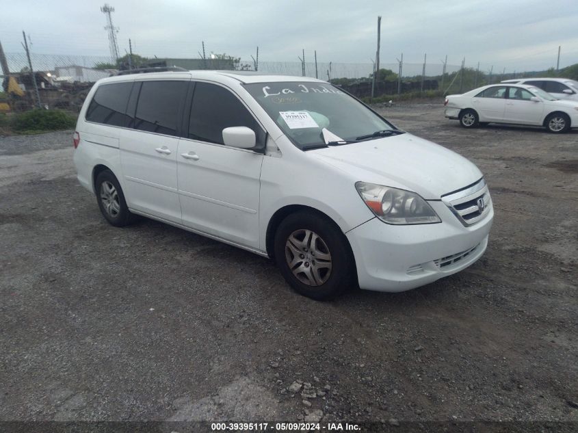 2007 Honda Odyssey Ex-L VIN: 5FNRL38607B429806 Lot: 39395117