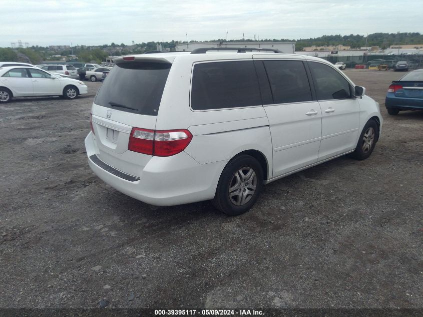 2007 Honda Odyssey Ex-L VIN: 5FNRL38607B429806 Lot: 39395117