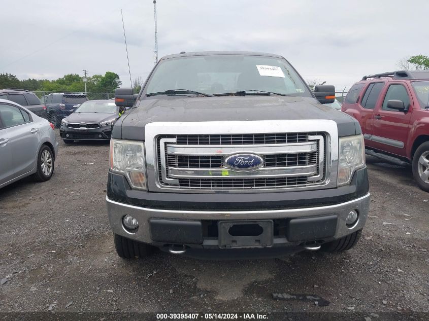 2013 Ford F-150 Xlt VIN: 1FTFW1EF2DFA75880 Lot: 39395407