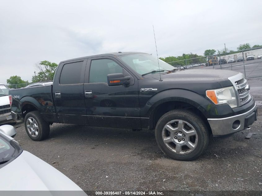 2013 Ford F-150 Xlt VIN: 1FTFW1EF2DFA75880 Lot: 39395407
