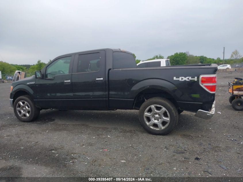 2013 Ford F-150 Xlt VIN: 1FTFW1EF2DFA75880 Lot: 39395407