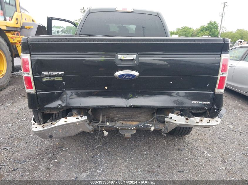 2013 Ford F-150 Xlt VIN: 1FTFW1EF2DFA75880 Lot: 39395407