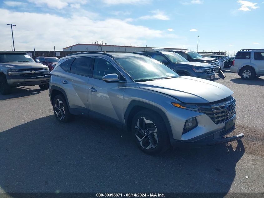 2023 Hyundai Tucson Limited VIN: 5NMJECAE1PH207511 Lot: 39395871