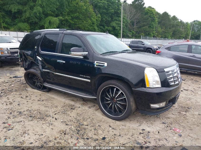 2010 Cadillac Escalade Hybrid Standard VIN: 1GYUKEEJ6AR166301 Lot: 39397483