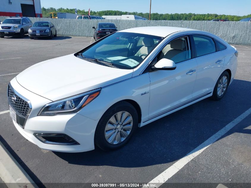 2016 Hyundai Sonata Hybrid/Se VIN: KMHE24L19GA037236 Lot: 39397991