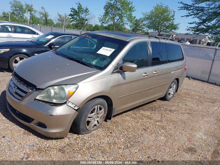 2006 Honda Odyssey Ex-L VIN: 5FNRL38646B404289 Lot: 39398390