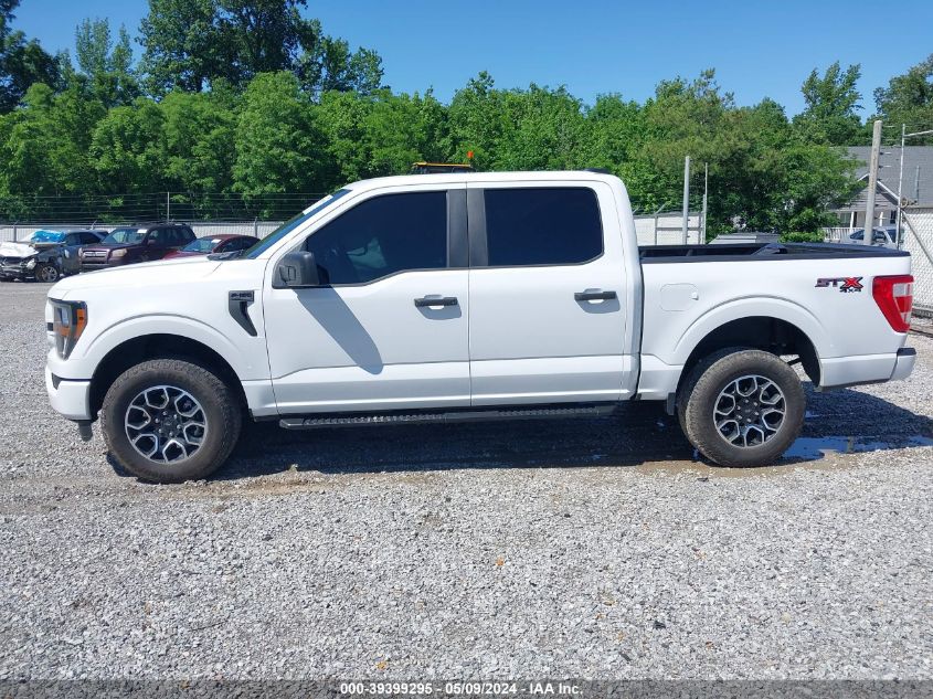 2023 Ford F-150 Xl VIN: 1FTFW1E53PKD25095 Lot: 39399295