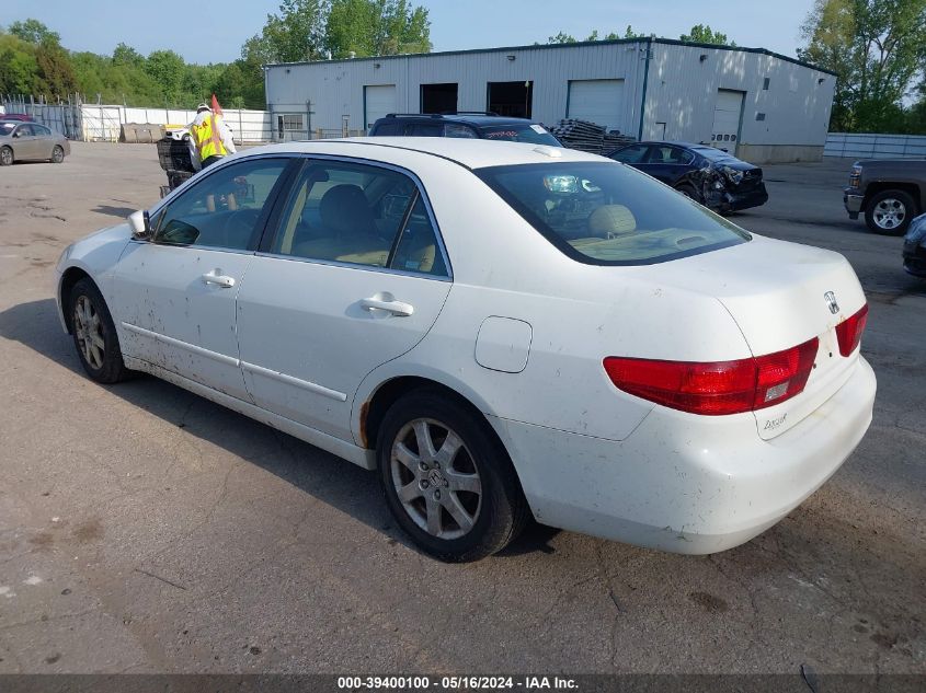 2005 Honda Accord Ex VIN: 1HGCM66505A007685 Lot: 39400100