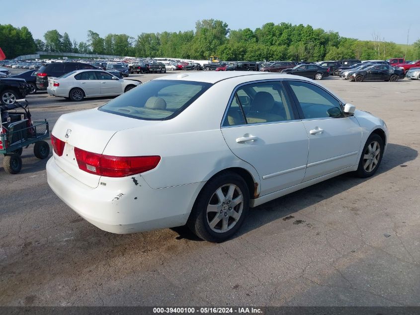 2005 Honda Accord Ex VIN: 1HGCM66505A007685 Lot: 39400100