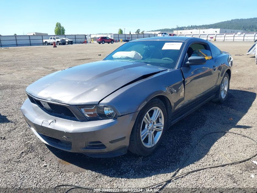 2010 Ford Mustang V6/V6 Premium VIN: 1ZVBP8AN4A5157867 Lot: 39400223