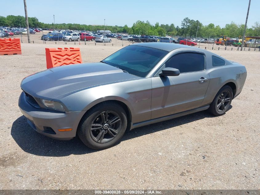 2010 Ford Mustang V6/V6 Premium VIN: 1ZVBP8AN5A5105499 Lot: 39400828