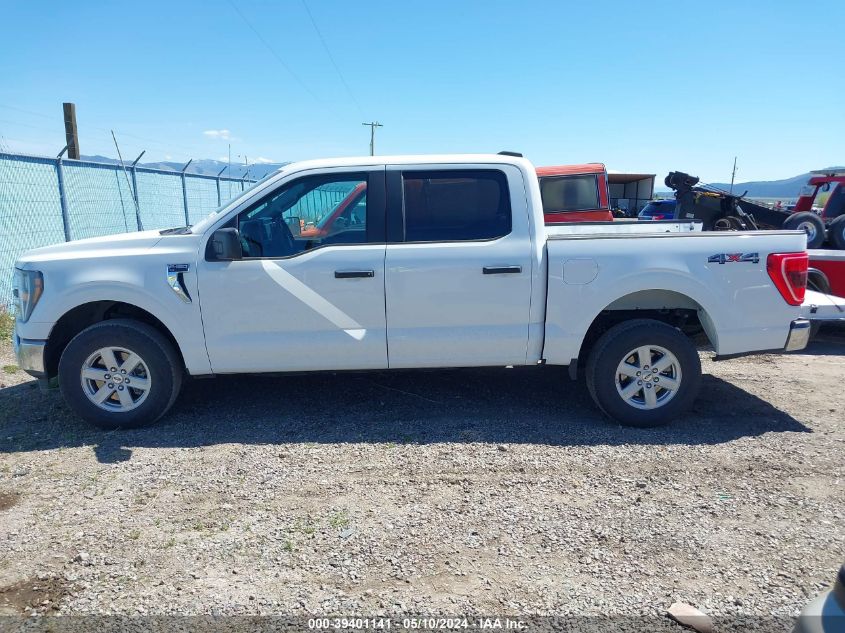 2023 FORD F-150 XLT - 1FTFW1E8XPFA35875