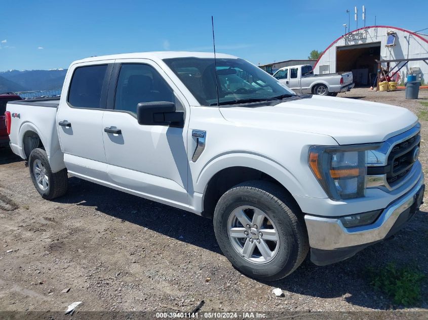 2023 FORD F-150 XLT - 1FTFW1E8XPFA35875