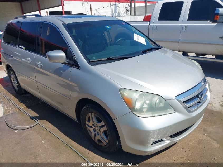 2006 Honda Odyssey Ex-L VIN: 5FNRL38716B031303 Lot: 39402518