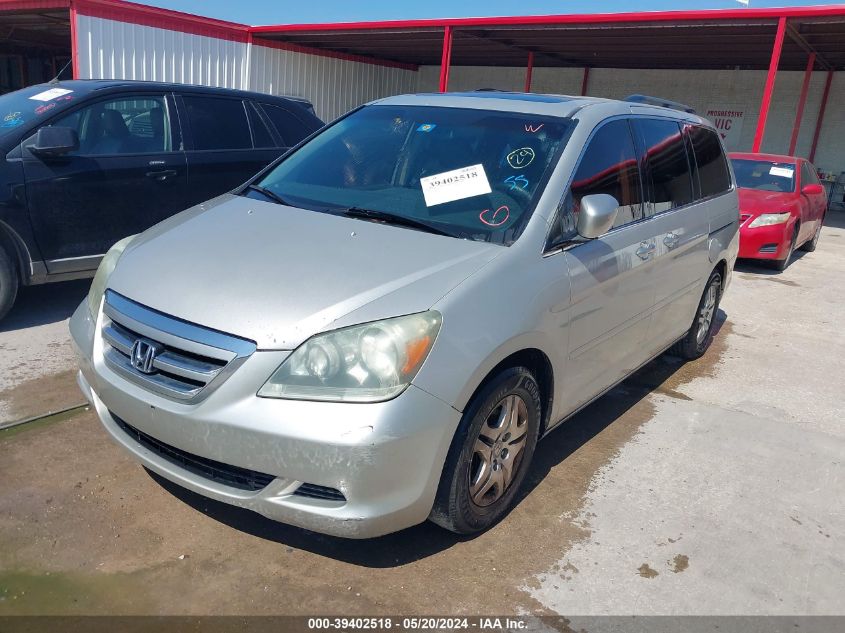 2006 Honda Odyssey Ex-L VIN: 5FNRL38716B031303 Lot: 39402518