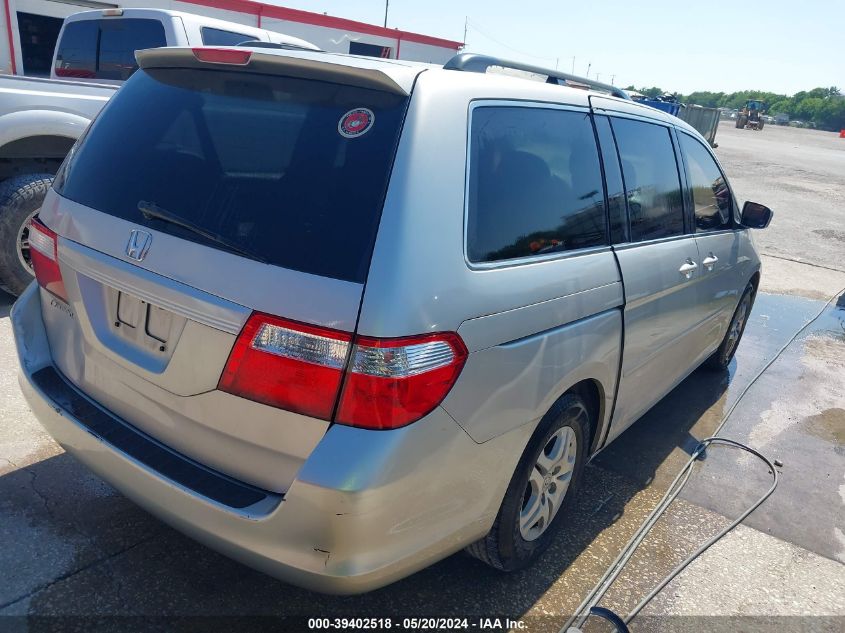 2006 Honda Odyssey Ex-L VIN: 5FNRL38716B031303 Lot: 39402518