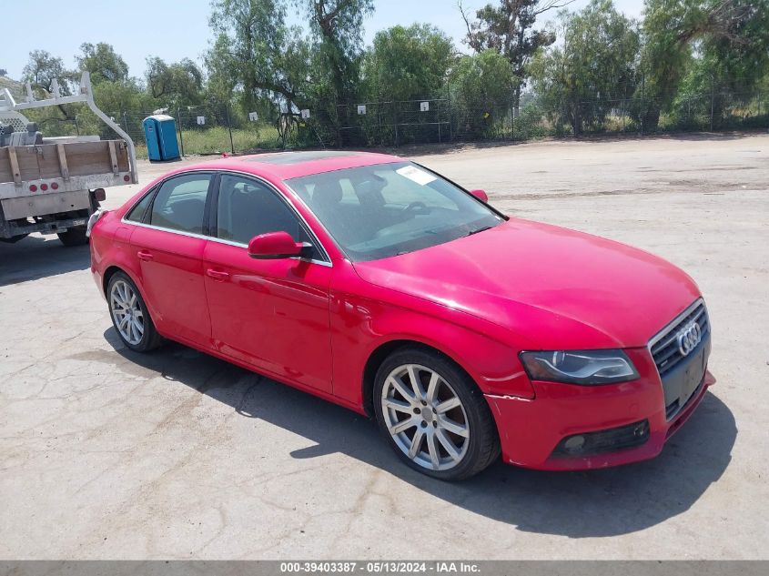 2010 Audi A4 2.0T Premium VIN: WAUFFAFL4AN051177 Lot: 39403387