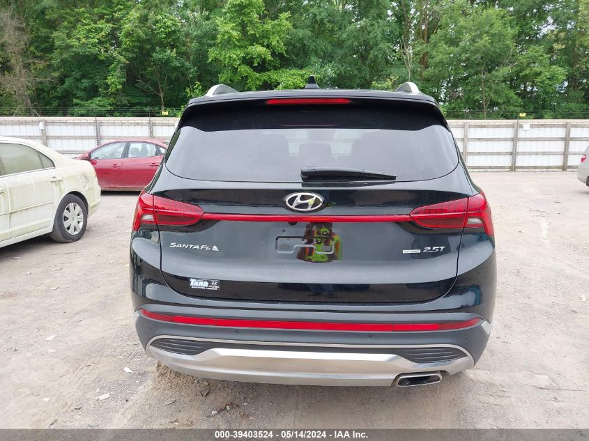 2023 Hyundai Santa Fe Limited VIN: 5NMS4DAL3PH649590 Lot: 39403524