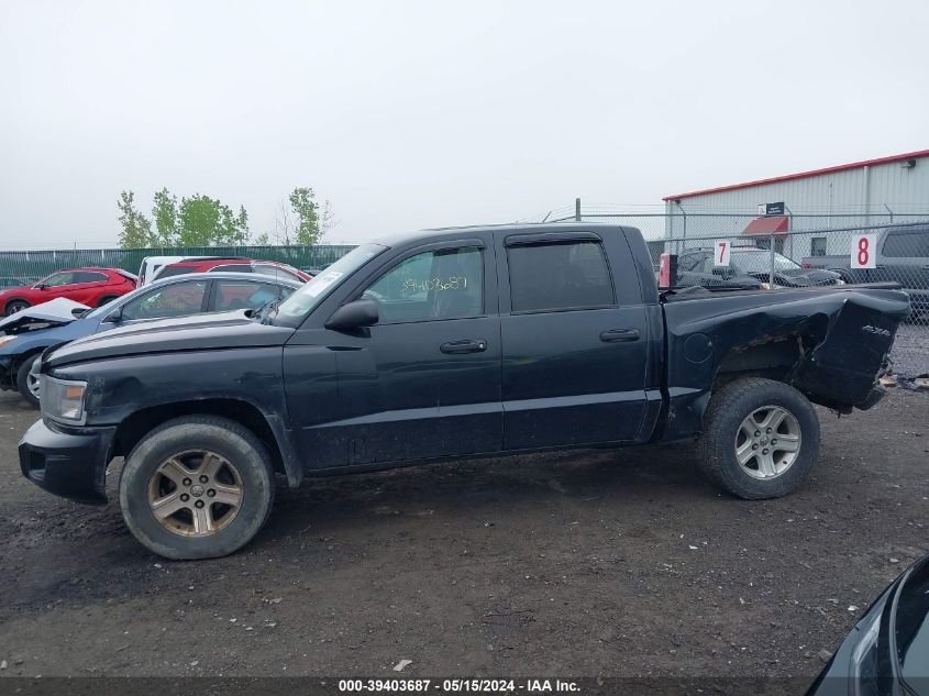 2010 Dodge Dakota Bighorn/Lonestar VIN: 1D7CW3GKXAS230497 Lot: 39403687