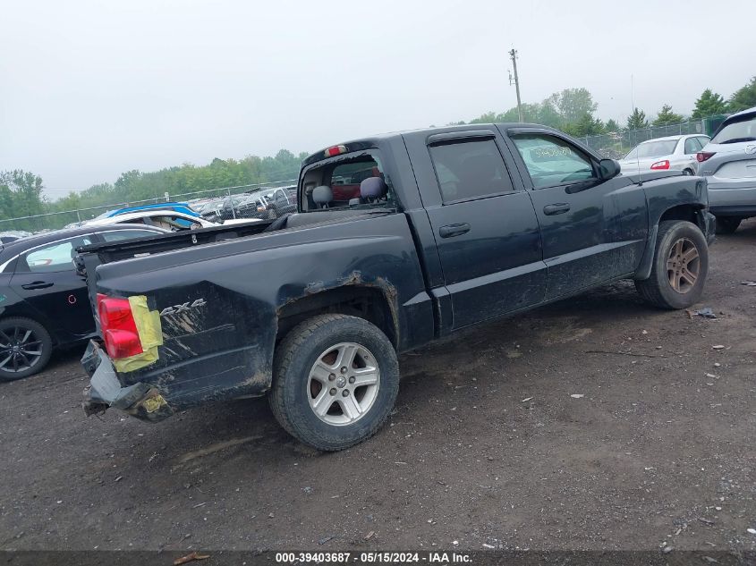 2010 Dodge Dakota Bighorn/Lonestar VIN: 1D7CW3GKXAS230497 Lot: 39403687