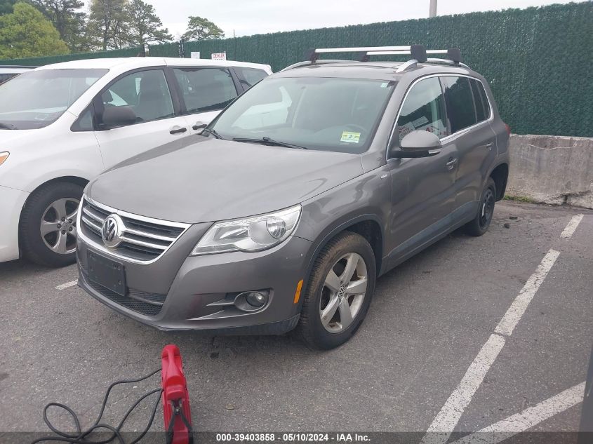 2010 Volkswagen Tiguan Wolfsburg Edition VIN: WVGBV7AX3AW001765 Lot: 39403858