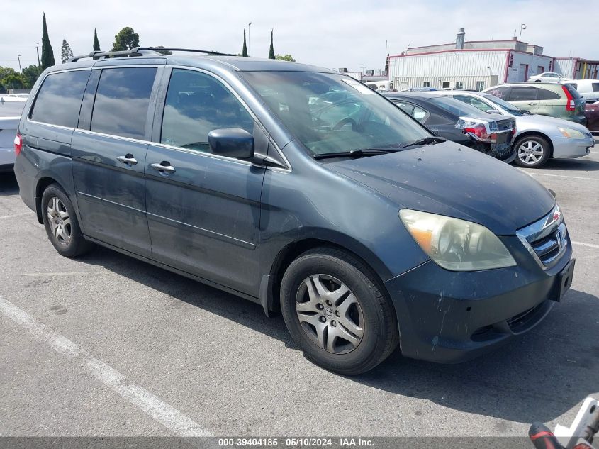 2005 Honda Odyssey Ex-L VIN: 5FNRL38725B091489 Lot: 39404185