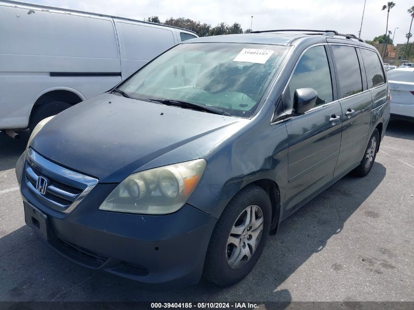 2005 Honda Odyssey Ex-L VIN: 5FNRL38725B091489 Lot: 39404185