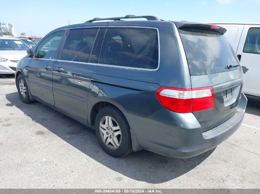 2005 Honda Odyssey Ex-L VIN: 5FNRL38725B091489 Lot: 39404185