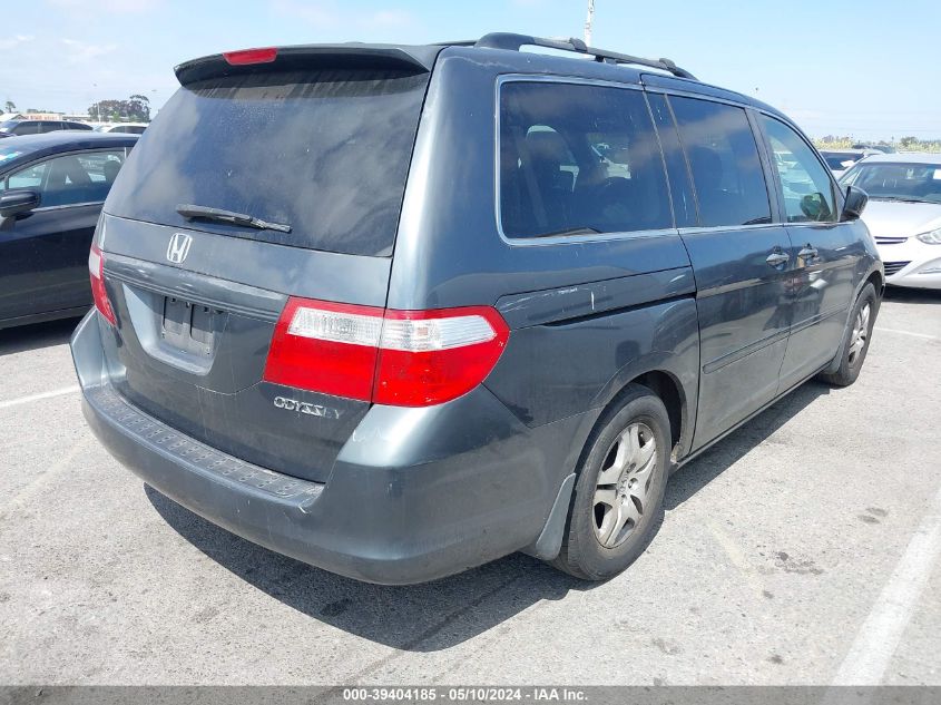 2005 Honda Odyssey Ex-L VIN: 5FNRL38725B091489 Lot: 39404185