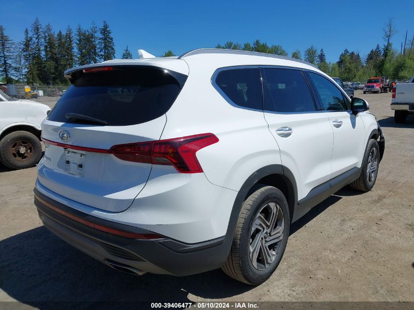 2023 Hyundai Santa Fe Sel VIN: 5NMS24AJ6PH517508 Lot: 39406477