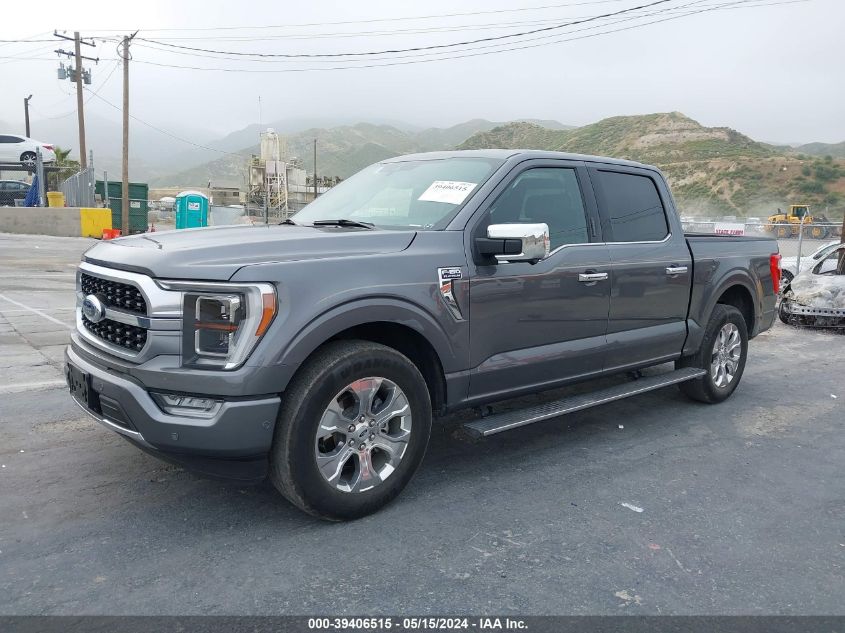 2021 Ford F-150 Platinum VIN: 1FTEW1C84MFB62695 Lot: 39406515