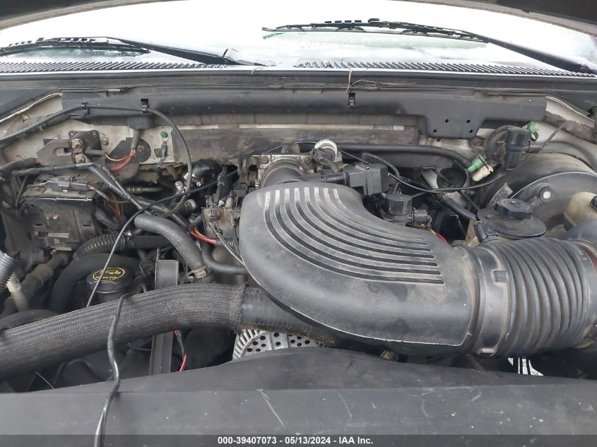 2002 Ford Expedition Eddie Bauer VIN: 1FMRU17W02LA71613 Lot: 39407073