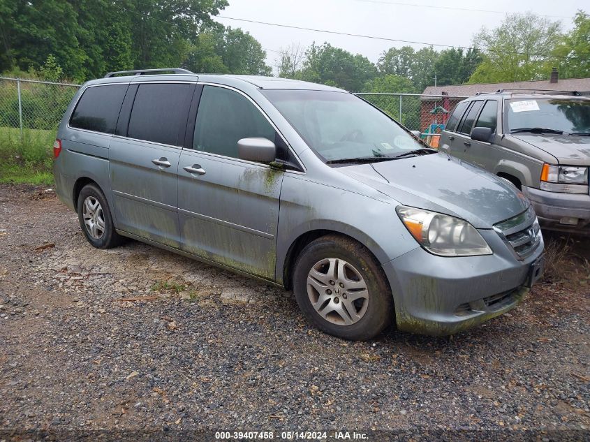 2007 Honda Odyssey Ex-L VIN: 5FNRL38737B100171 Lot: 39407458