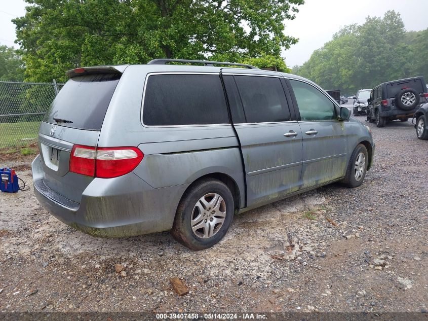 2007 Honda Odyssey Ex-L VIN: 5FNRL38737B100171 Lot: 39407458