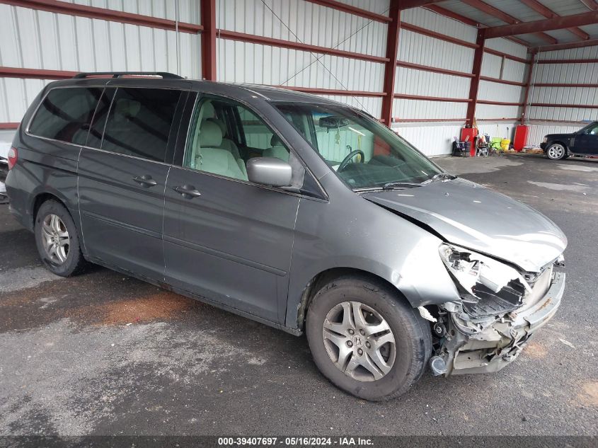 2007 Honda Odyssey Ex VIN: 5FNRL38437B047834 Lot: 39407697