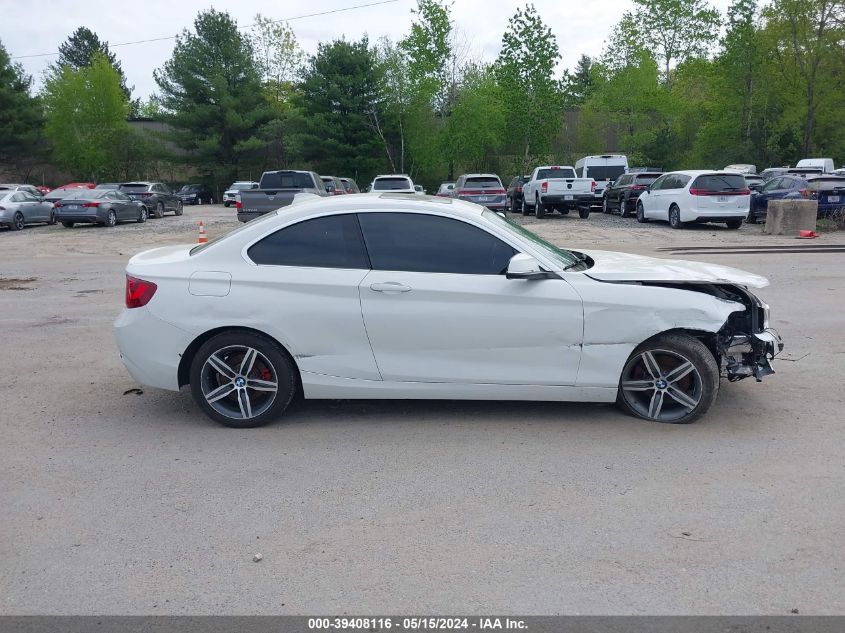 2017 BMW 230I xDrive VIN: WBA2H9C54HV641838 Lot: 39408116