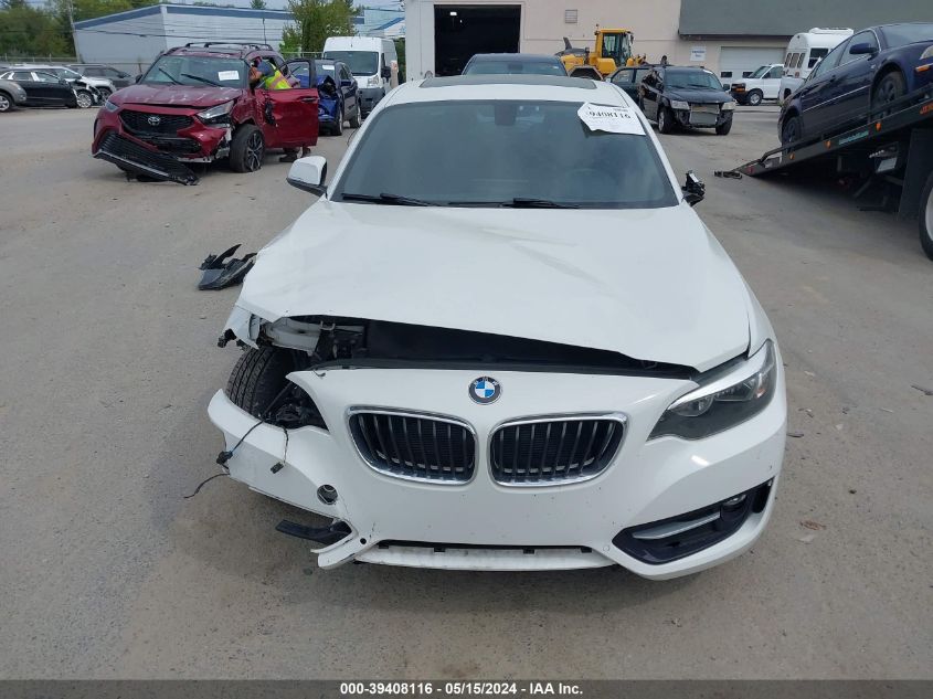 2017 BMW 230I xDrive VIN: WBA2H9C54HV641838 Lot: 39408116