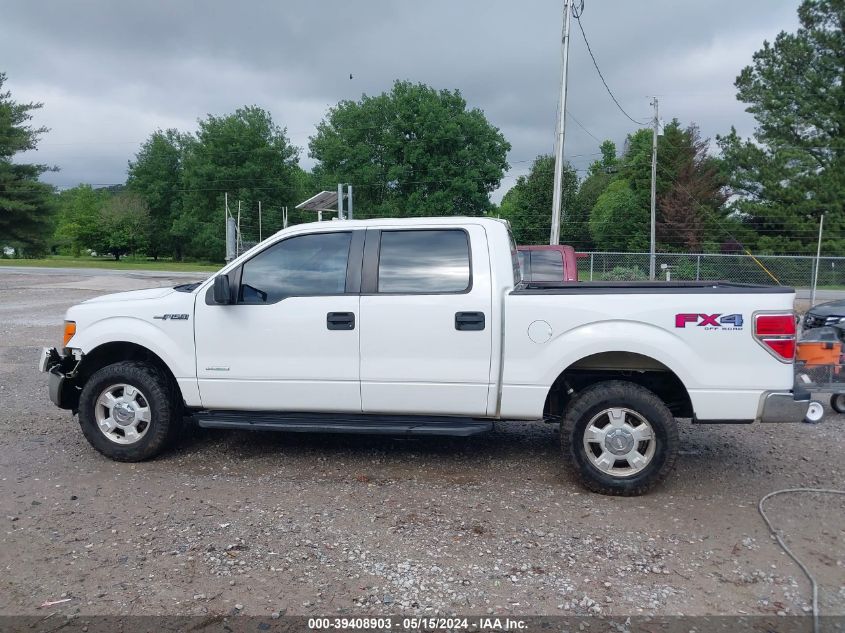 2014 FORD F-150 XL - 1FTFW1ET6EFB33397