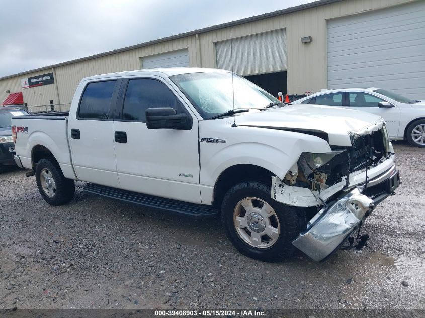 2014 FORD F-150 XL - 1FTFW1ET6EFB33397