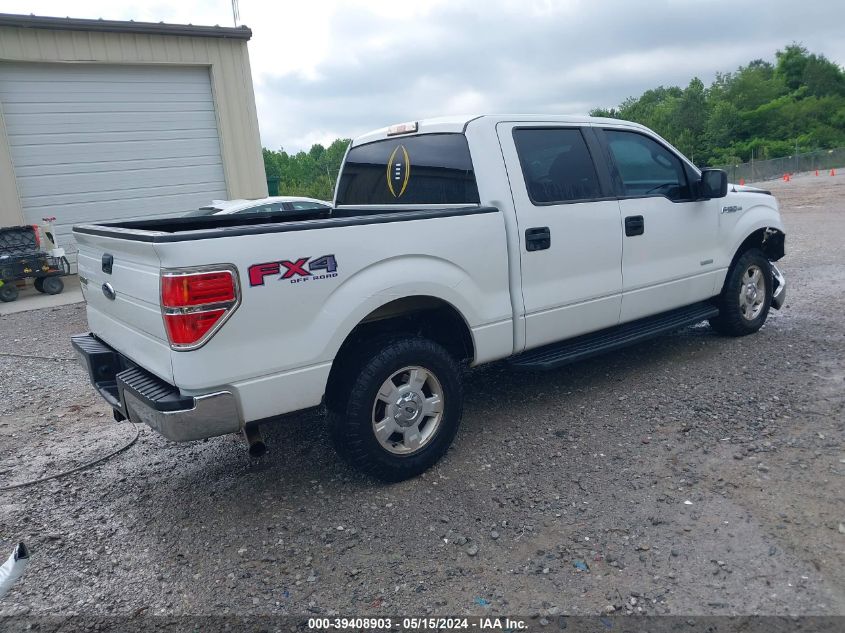 2014 FORD F-150 XL - 1FTFW1ET6EFB33397