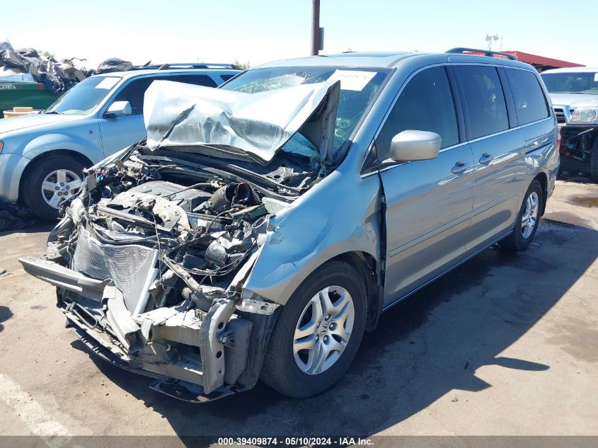 2007 Honda Odyssey Ex-L VIN: 5FNRL38647B098955 Lot: 39409874