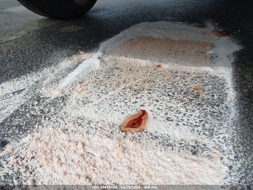 2010 Ford F-250 Xl/Xlt VIN: 1FDSX2A51AEA96067 Lot: 39410185