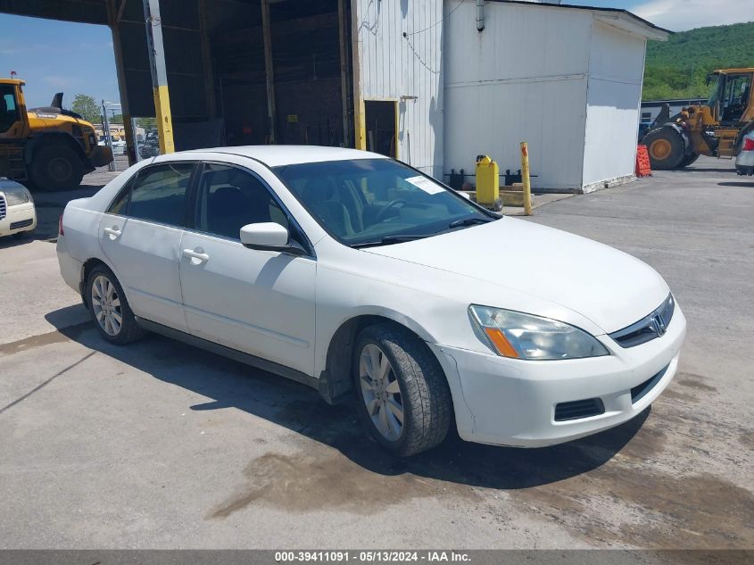 2007 Honda Accord 3.0 Se VIN: 1HGCM66487A062413 Lot: 39411091