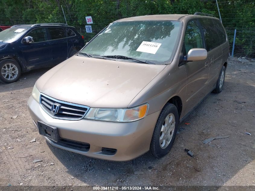 2003 Honda Odyssey Ex-L VIN: 5FNRL18013B155347 Lot: 39411210